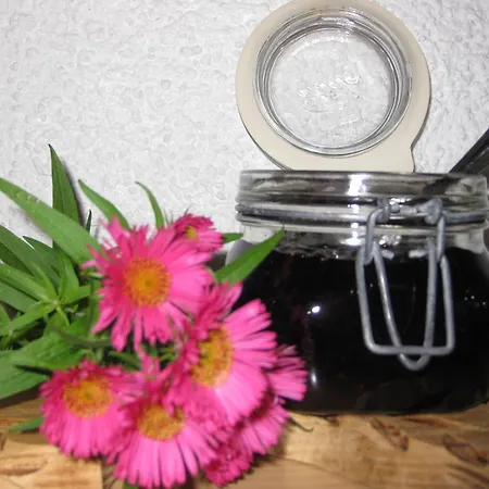 Haus Vilgrassa Sankt Gallenkirch