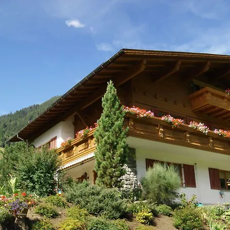 Haus Vilgrassa Sankt Gallenkirch