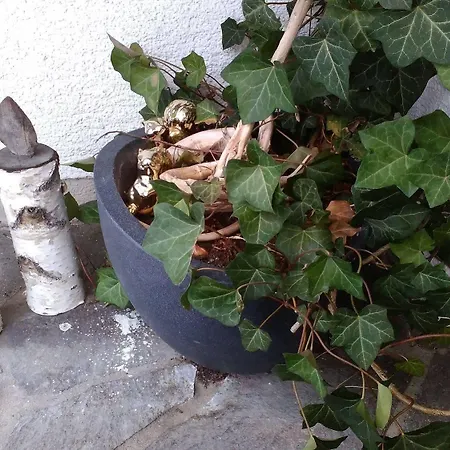 Haus Vilgrassa Gasthuis